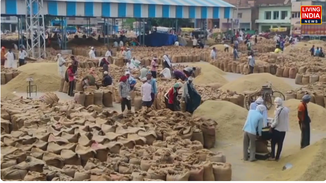 LiPunjab's tweet photo. Palwal में किसानों को मंडियों में सरकारी खरीद का इंतजार, किसान बोले – भाव का पता ही नहीं, सरकारी रेट का बोर्ड तक नहीं
https://t.co/jfebUkV63Y
#palwal #farmers #haryana #government #cmnayabsinghsaini #haryana #livingindianewsharyana https://t.co/UyndVnptbP