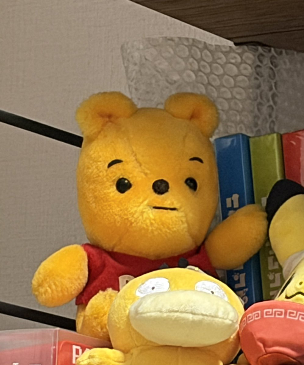 ka_na_pee's tweet photo. 機嫌良さそう https://t.co/RdvqaMGrez
