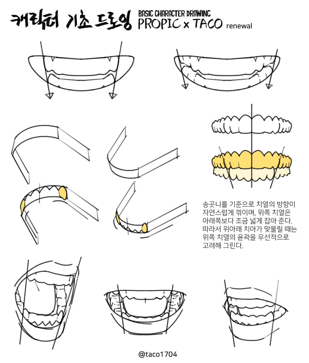 taco1704's tweet photo. Drawing Upper and Lower Teeth
송곳니를 기준으로 치열�� 방향이 자연스럽게 꺾이며, 위쪽 치열은 아래쪽보다 조금 넓게 잡아 준다. 따라서 위아래 치아가 맞물릴 때는 위쪽 치열의 윤곽을 우선적으로 고려해 그린다. https://t.co/MgVLFQljfI