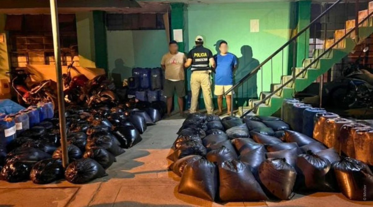 ICCWC_WFC's tweet photo. #LookingBack In June 2025, with ICCWC’s operational support, Peruvian authorities dismantled a criminal network known as “Los Depredadores del Oriente”, an international network operating out of Peru and engaged in large-scale wildlife trafficking and related offences, including environmental depredation, bribery, fraud, corruption and document falsification.

🔗 Read more: https://t.co/bGqQ5q7mPv

#ICCWC #TogetherAgainstWildlifeCrime #WorldFreeofWildlifeCrime

Special thanks to the @DefraNature for their generous support.