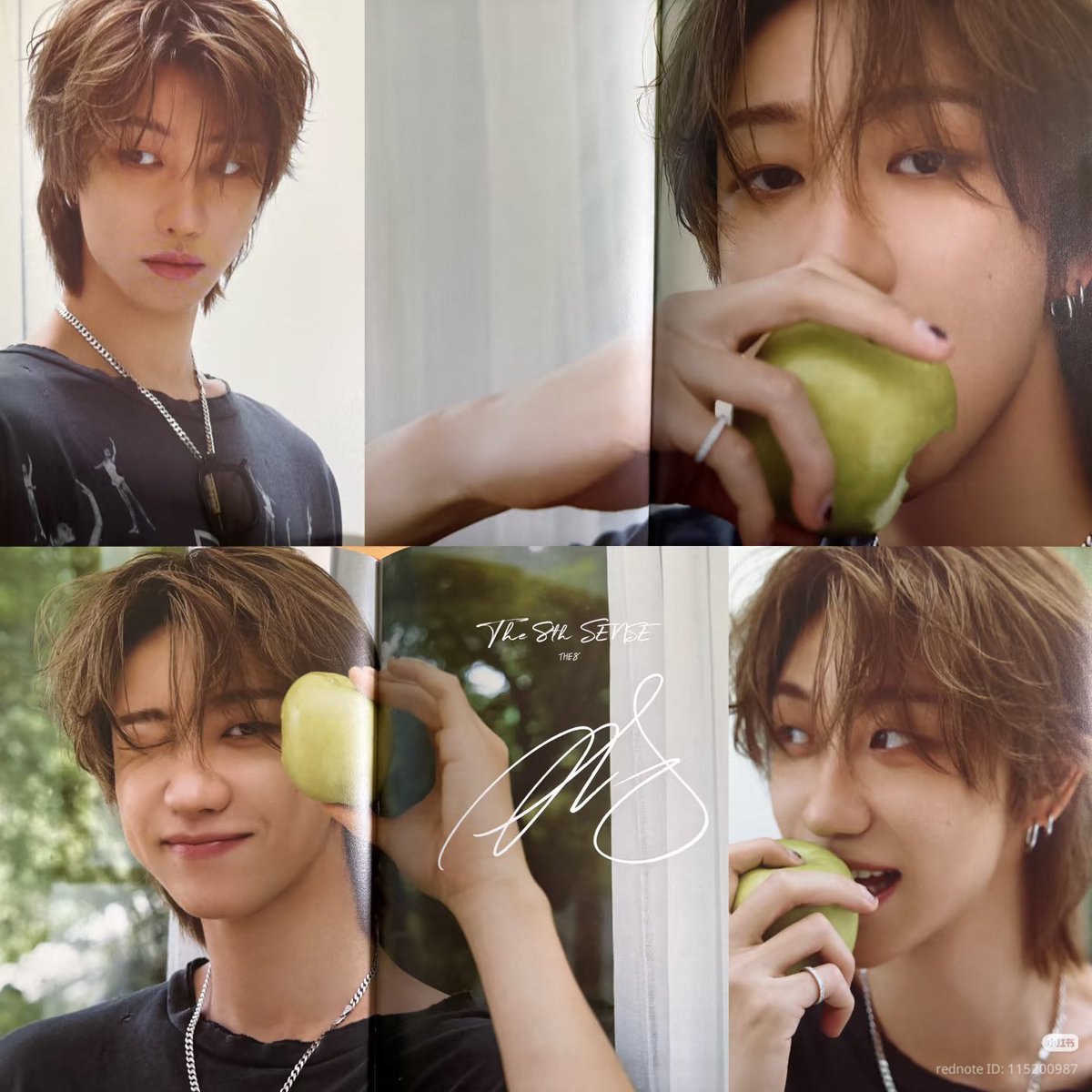 myharudesix's tweet photo. minghao dicon omygod look at those photocards 😭 https://t.co/MBXJZ6T6gJ