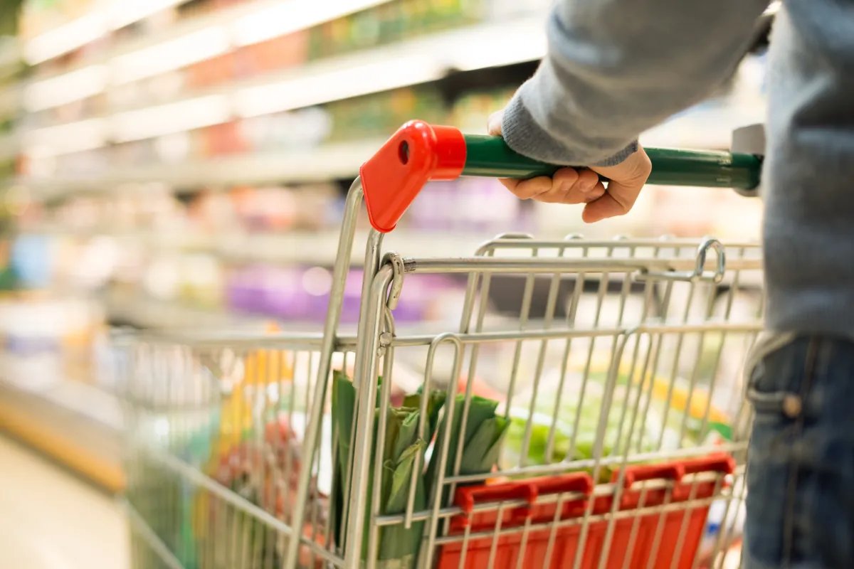 FoodIng1st's tweet photo. Innova Market Insights’ top 2027 F&B trends: Nutrient density, protein quality & metabolic health
#foodandbeverage #foodinnovation #consumertrends
Read the full article here👉https://t.co/7Qen1wQPLp https://t.co/tMjilev11i