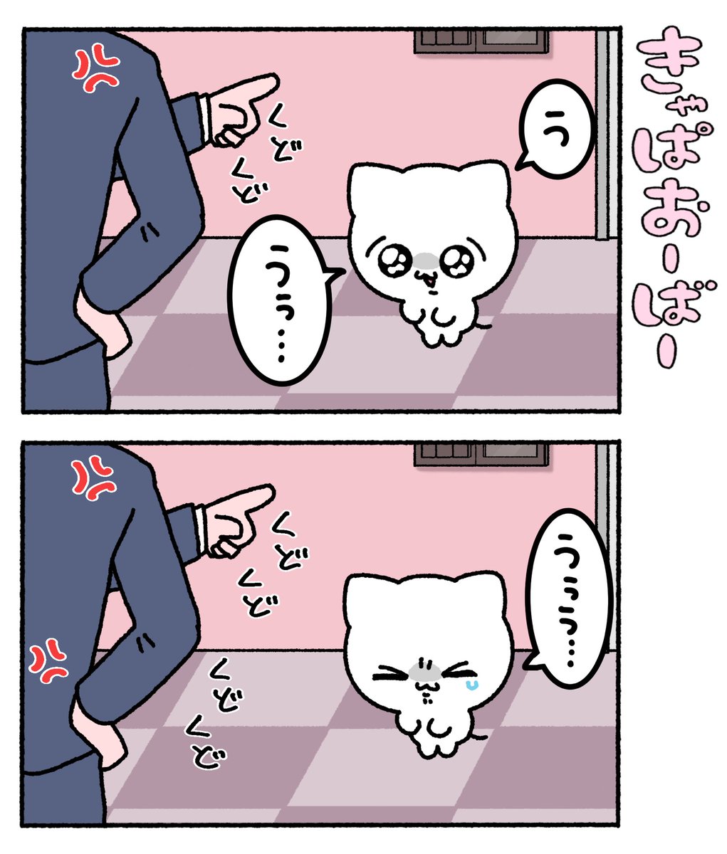 everydaymeechan's tweet photo. きゃぱおーばー https://t.co/rz7xSJC2NE