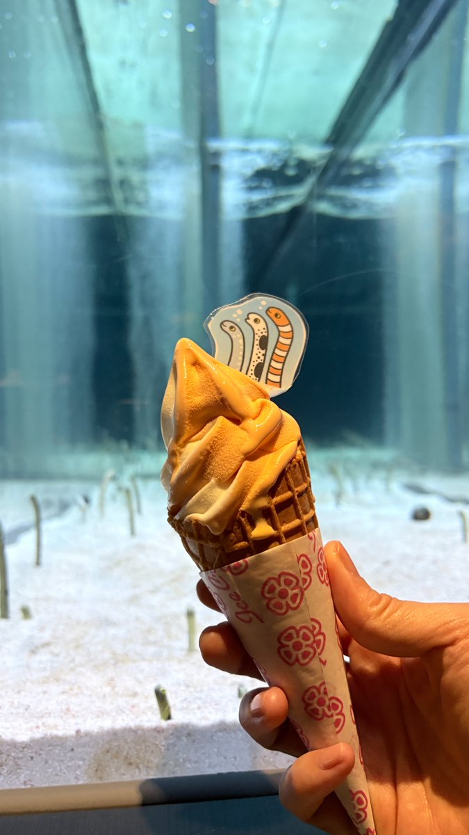 Sumida_Aquarium's tweet photo. ＼ #チンアナゴではありま展 限定メニュー紹介✨／
🧋チンアナゴシェイク
🍦まるでニシキアナゴソフト
🌭まるでホワイトスポッテッドガーデンイールチーズドッグ

チンアナゴ関連メニュー1個以上を含むご購入金額が税込1,111円以上のお客様にはステッカープレゼント✨

ぜひ、チェックしてください♪

#11月11日はチンアナゴの日