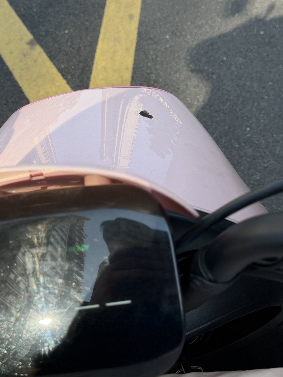 ccc2gas's tweet photo. 臭🐦 https://t.co/g8mRwbeGeA