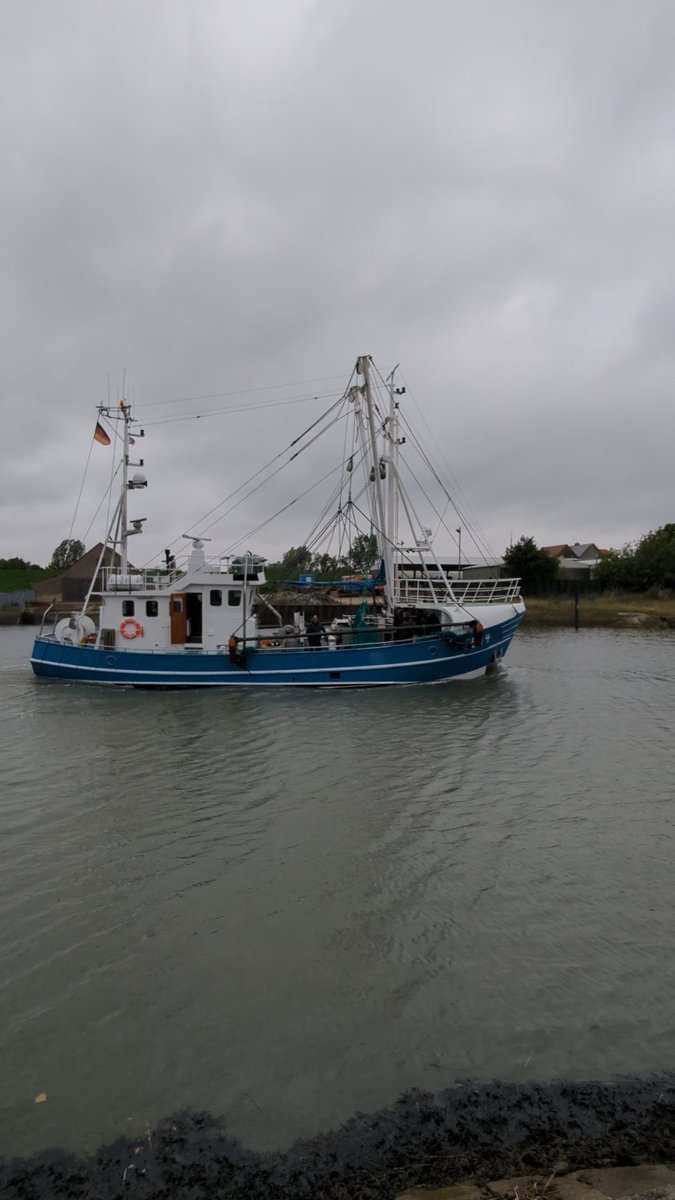 Nordwestroute's tweet photo. Moin aus Butjadingen.. #Fedderwardersiel #butjadingen #nordsee #wesermarsch #Burhave #tossens #eckwarderhörne #Ruhwarden https://t.co/i6hrdZXgBz