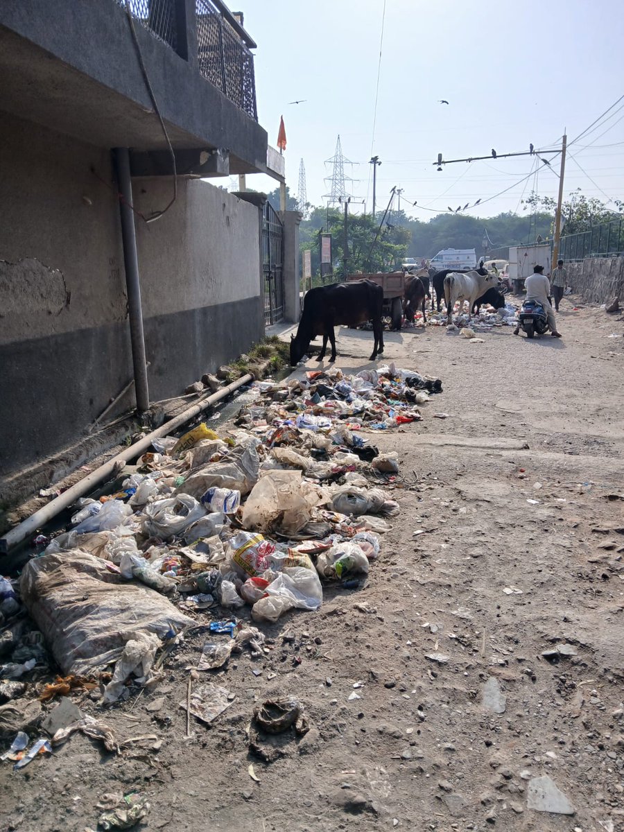 jkssassociates's tweet photo. @BJPChandankr  @MCD_Delhi @gupta_rekha @LtGovDelhi  Surajmal Jatt Dharamshala in Sangam Vihar is a garbage dump &amp; cattle zone! Foul smell &amp; mosquitoes endanger locals &amp; kids. Immediate action needed! &amp; place dustbins also🙏 https://t.co/UZzKPeHron