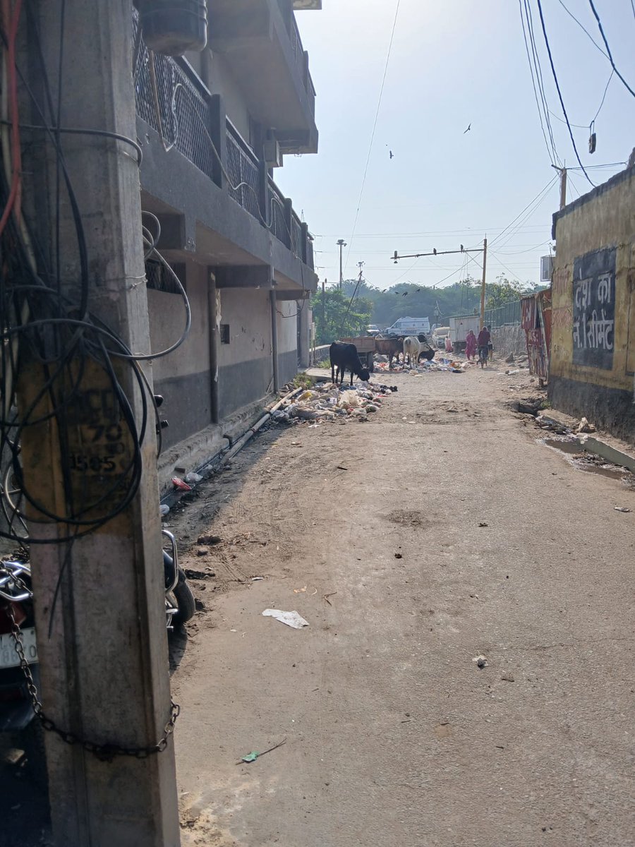 jkssassociates's tweet photo. @BJPChandankr  @MCD_Delhi @gupta_rekha @LtGovDelhi  Surajmal Jatt Dharamshala in Sangam Vihar is a garbage dump &amp; cattle zone! Foul smell &amp; mosquitoes endanger locals &amp; kids. Immediate action needed! &amp; place dustbins also🙏 https://t.co/UZzKPeHron
