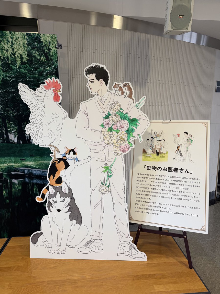 huvet10's tweet photo. 北大に寄った帰り、漫画「動物のお医者さん」の記念パネルを見てきました。

「動物のお医者さん」は文字を覚える前から読んでいたことを覚えています。
愛読書に憧れた私はH大獣医学部に進学し、今は円山動物園で獣医師として診察しています。

実は、ハムテルのモデルとなった先生も、かつて円山動物園で勤務されていました。
お手製吹き矢で麻酔をかけたり、動物の投薬に知恵を絞ったりする描写が妙に動物園の実際の治療に通じているのは、そのせいかもしれません。

憧れた漫画の大先輩と同じ世界にいることを改めて感じた1日でした。

#動物のお医者さん
#北海道大学150周年
#パネル後ろにアフリカンアートが隠れてる