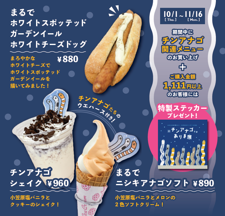 Sumida_Aquarium's tweet photo. ＼ #チンアナゴではありま展 限定メニュー紹介✨／
🧋チンアナゴシェイク
🍦まるでニシキアナゴソフト
🌭まるでホワイトスポッテッドガーデンイールチーズドッグ

チンアナゴ関連メニュー1個以上を含むご購入金額が税込1,111円以上のお客様にはステッカープレゼント✨

ぜひ、チェックしてください♪

#11月11日はチンアナゴの日