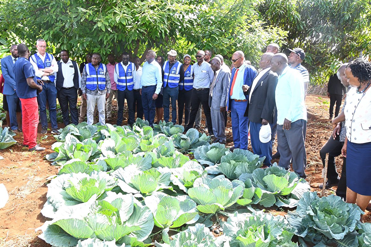 keit_anni's tweet photo. Combining public, private, and development finance under one framework makes NISIP unique. PS Ephantus Kimotho invites forward-thinking investors to play an active role in Fortifying Food Security and #InvestInIrrigation. https://t.co/l5EfnFqKhF