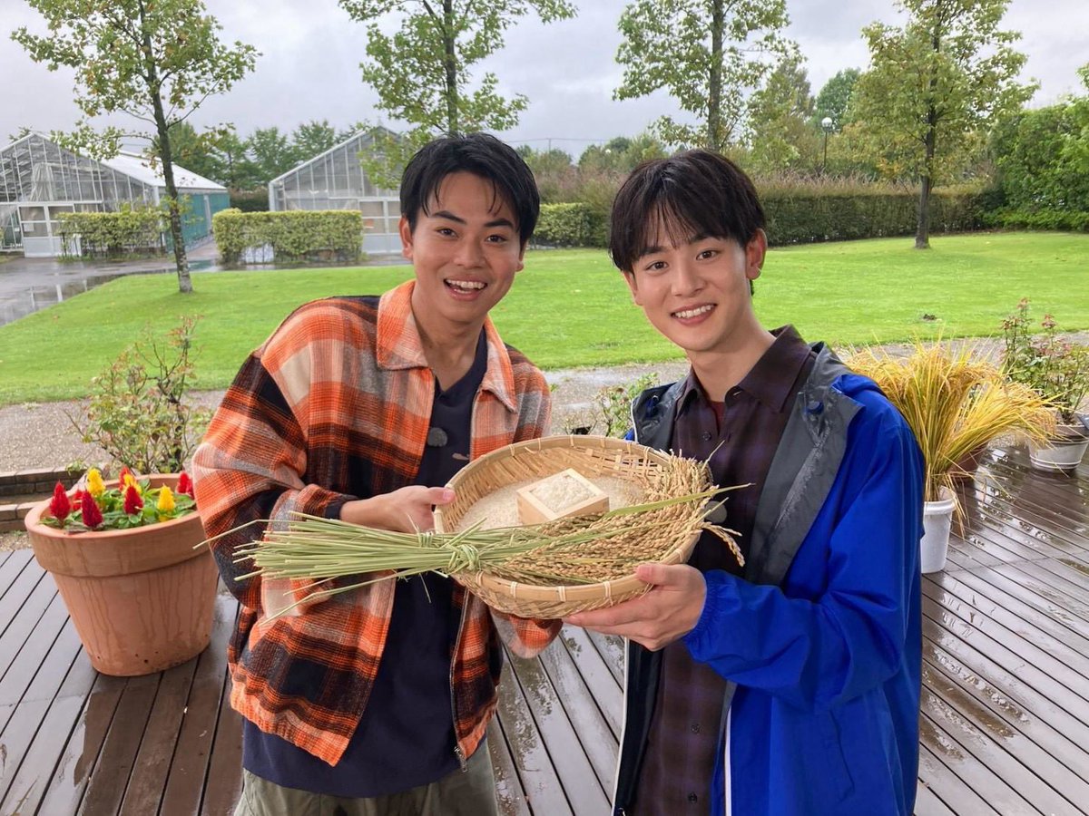orehako_ntv's tweet photo. 【出演情報💡】

🗓️明日 夕方6:30〜7:00
📺満天⭐︎#青空レストラン　

小林虎之介さん、菅生新樹さんが出演✨

神奈川県平塚市で新米「はるみ」の
収穫や炊き立てを試食！
さらに絶品ご飯のともも登場！
ぜひお楽しみに！

#俺たちの箱根駅伝
🍂 明日よる9時スタート🍂 https://t.co/PKdQXLEYWX