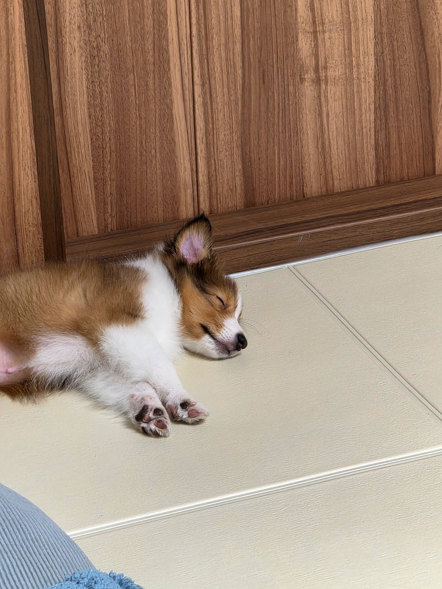 Mi__a___5_4__0's tweet photo. 하루가 고단하다 고단해 https://t.co/BCBtwTnL7x
