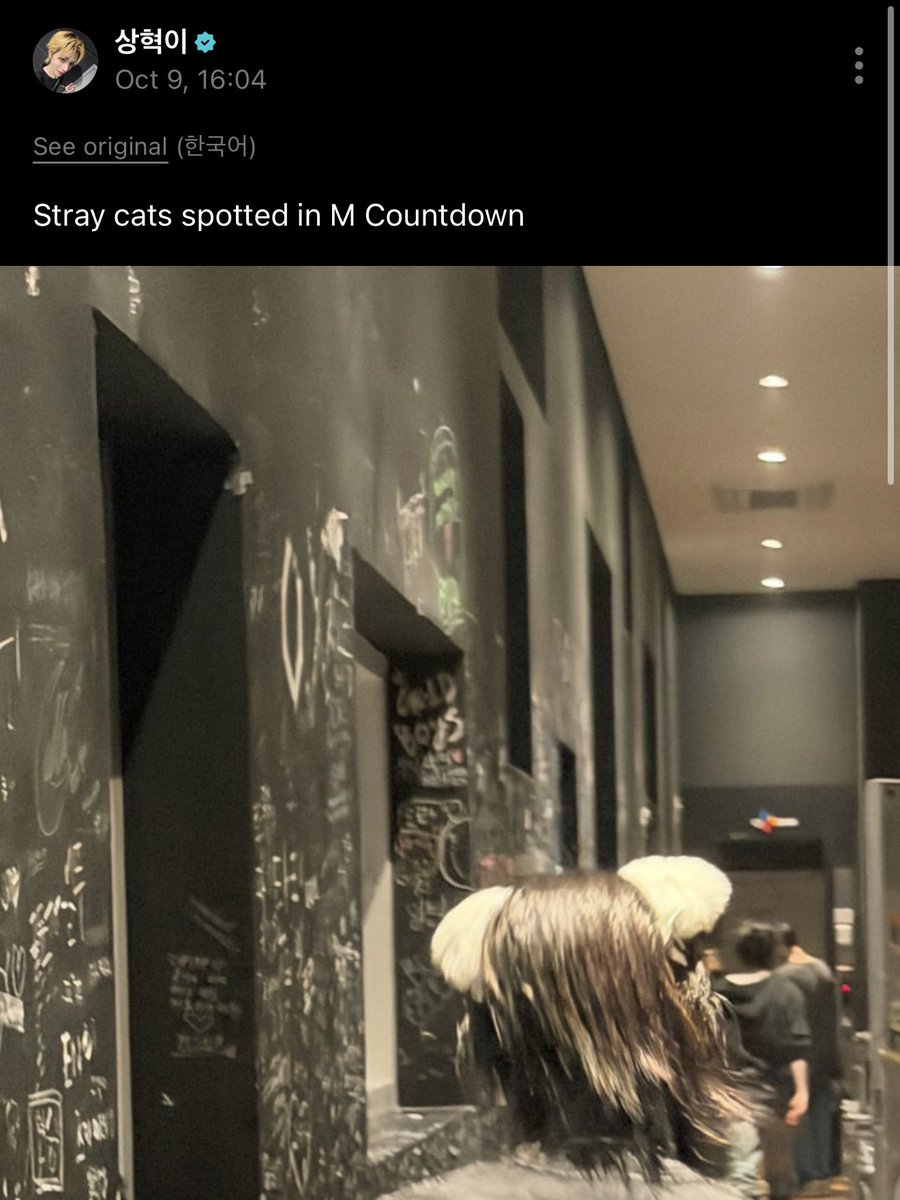 ihanfm's tweet photo. oh my god riwoo has posted photos of leehan wearing cat ears and captioned it how ihnyangie has appeared at m countdown aww 😭😭😭 https://t.co/1KycPS90q7