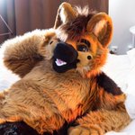 Photo by Lenny the Shepdoggo🐾 (@SDoggo97)