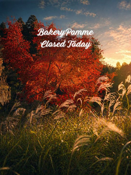 BakeryPomme's tweet photo. ベーカリーポム 土曜　日曜　祝日　 お休みです
https://t.co/cUqz8c7qIX https://t.co/oE9T4URh3O