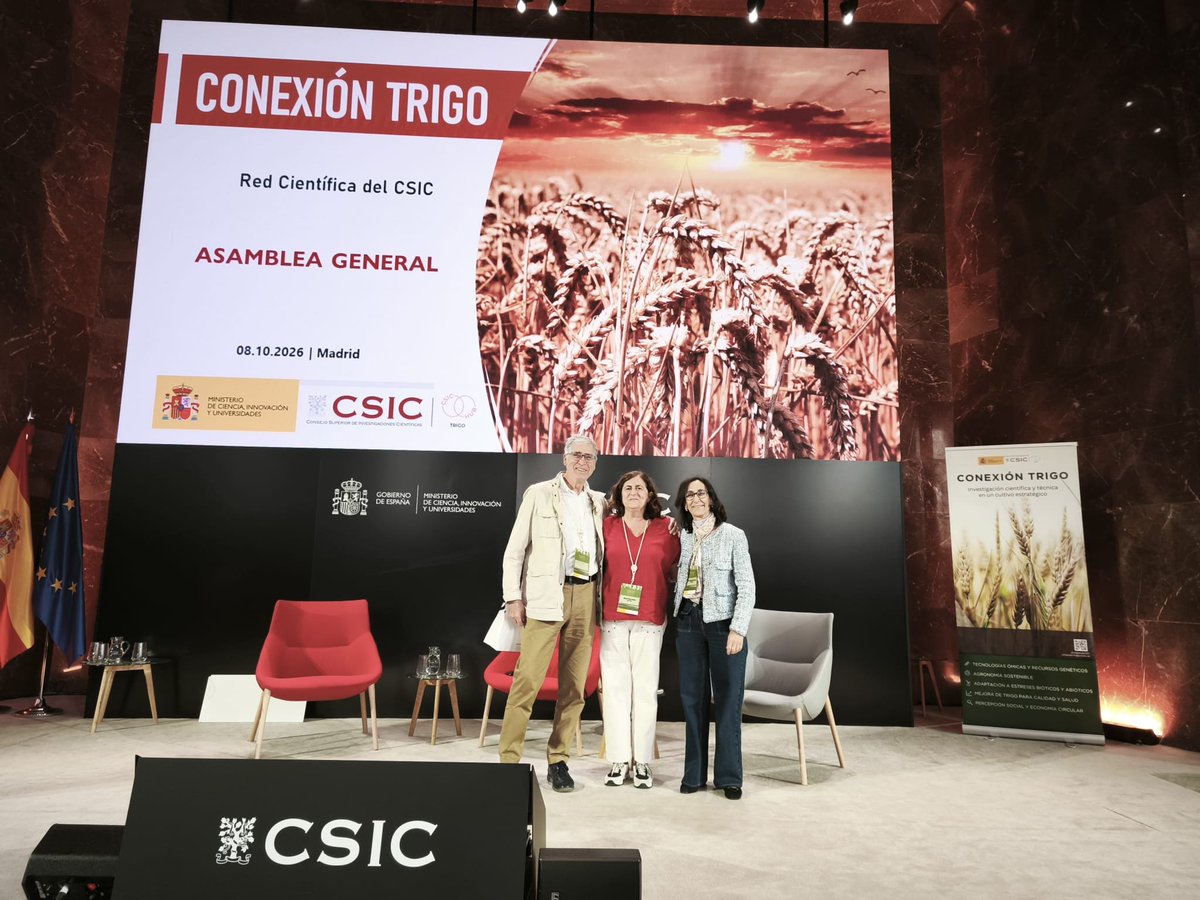 TrigoHubCSIC's tweet photo. Reconocemos la trayectoria investigadora de María Pilar Vallés Brau (EEAD-CSIC) por su trabajo en embriogénesis gamética y la obtención de plantas doble haploides, clave para acelerar la mejora genética del trigo.
Gracias por tu contribución a la ciencia
#ConexiónTrigo #EEADCSIC https://t.co/i9g2B7fmxT
