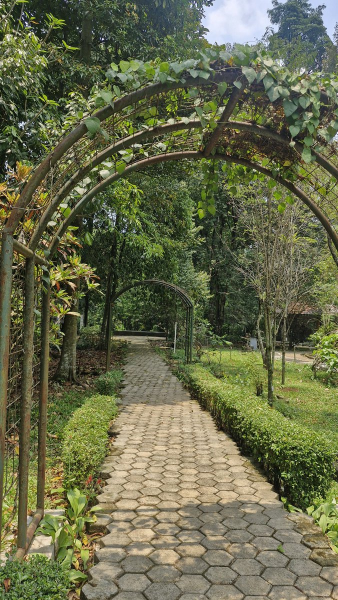 itskhuwana's tweet photo. Today I went to a field trip observation at Bogor Botanical Garden, hmmm not that shady like i thought before 😅😅, but I didn't expect some places are undergoing maintenance like.. for the restroom?!! How tf i can pee (btw the distance between 1-1 is quite far :v) https://t.co/pHkP5ybYK8