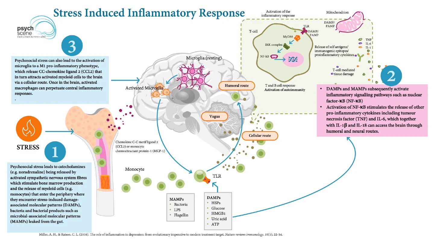 Psychiatry Excellence on X: 