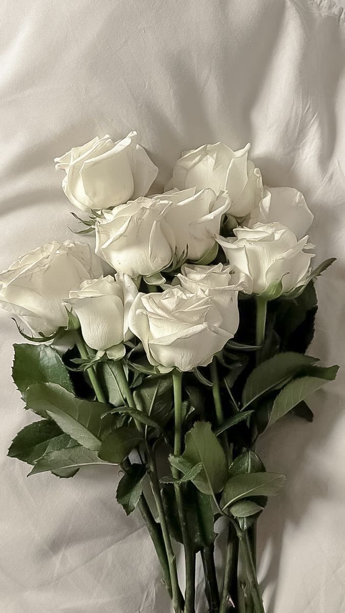 MissPoppyRopes's tweet photo. A little reminder, boys…

Your Queen deserves fresh flowers. Not just compliments.

Be a gentleman. Be generous. Make sure Mrs. Poppy has something beautiful to wake up to.

Good boys send flowers. Devoted ones make it a habit. 💐

On my Throne. https://t.co/d4rfRXQyYH