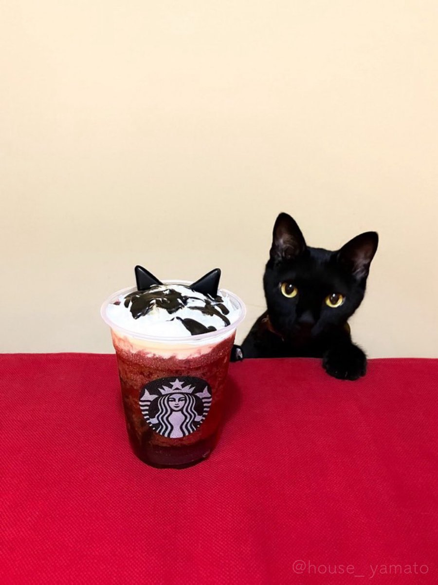 house_yamato's tweet photo. 昨年のニュッ https://t.co/SOuGF3zzkX