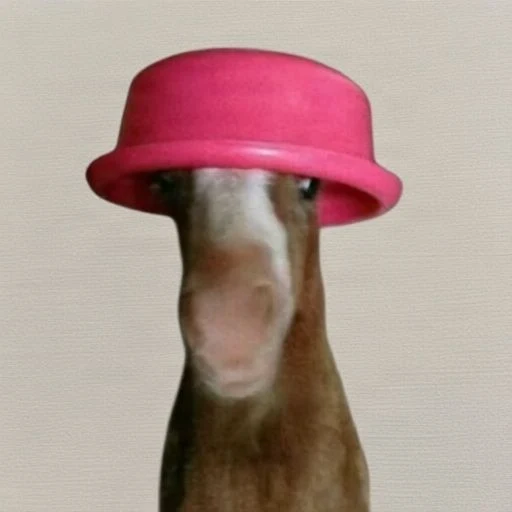 PetaISol's tweet photo. WE JUST GOT THE NEXT WIF???

This meme "Neigh" is going viral on X and its the perfect meem template,

With all the AI slop coins and tech rugs this can be a return to meme narrative, havent seen anyone else dev this yet,

BLOWING UP RIGHT NOW
https://t.co/Qc47YkWn8b https://t.co/T4d5HEn5Iu