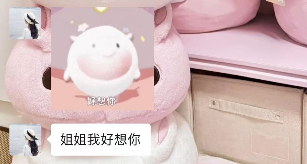 DdongEn63's tweet photo. 小可怜🥺 https://t.co/U7vloRBJK3