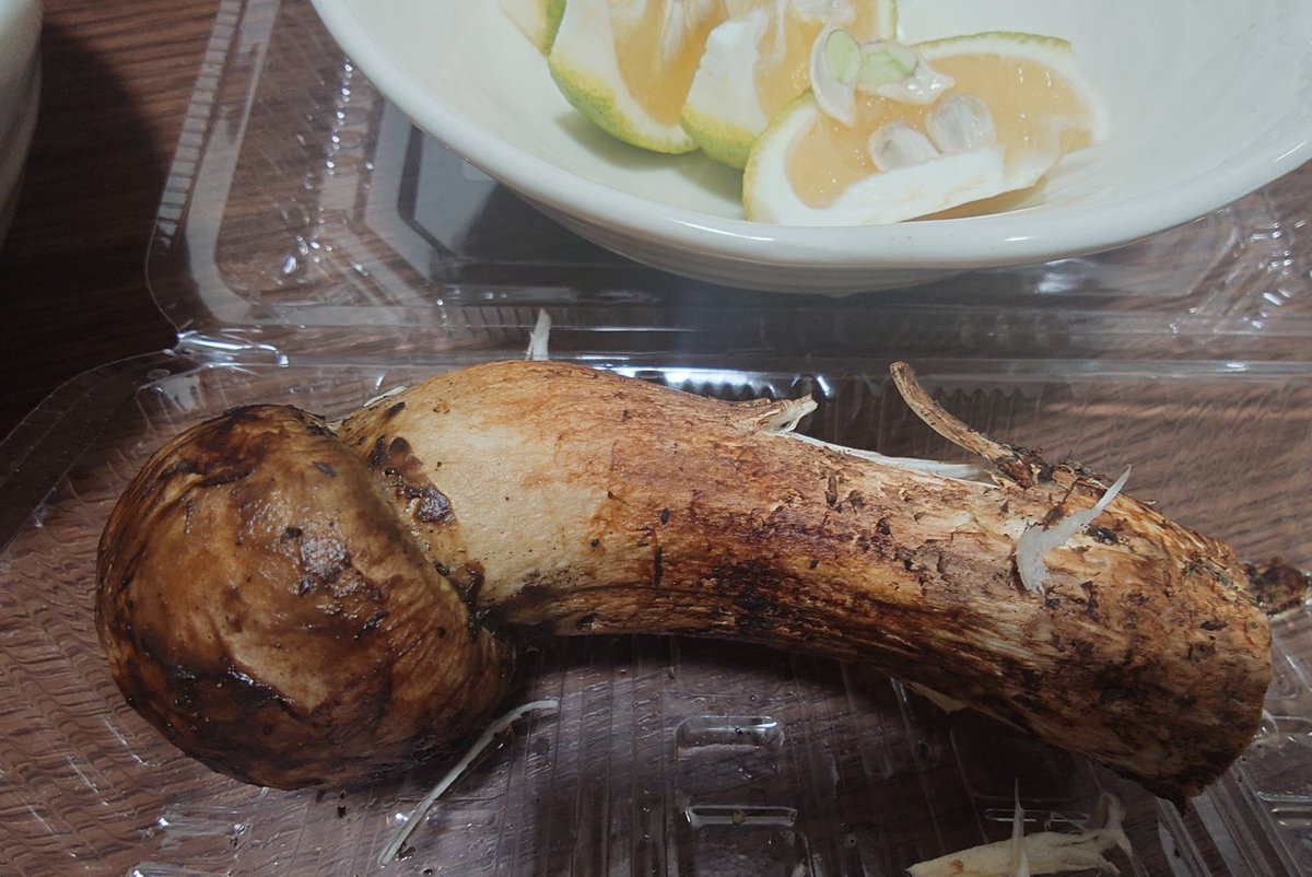 cherrysweet0720's tweet photo. 贅沢に季節ものの究極品を焼きまくってます😆
二本は焼いて食べ、超大きな一本は炊き込みご飯です🥰👍✨✨ https://t.co/qZRzjbOP9g