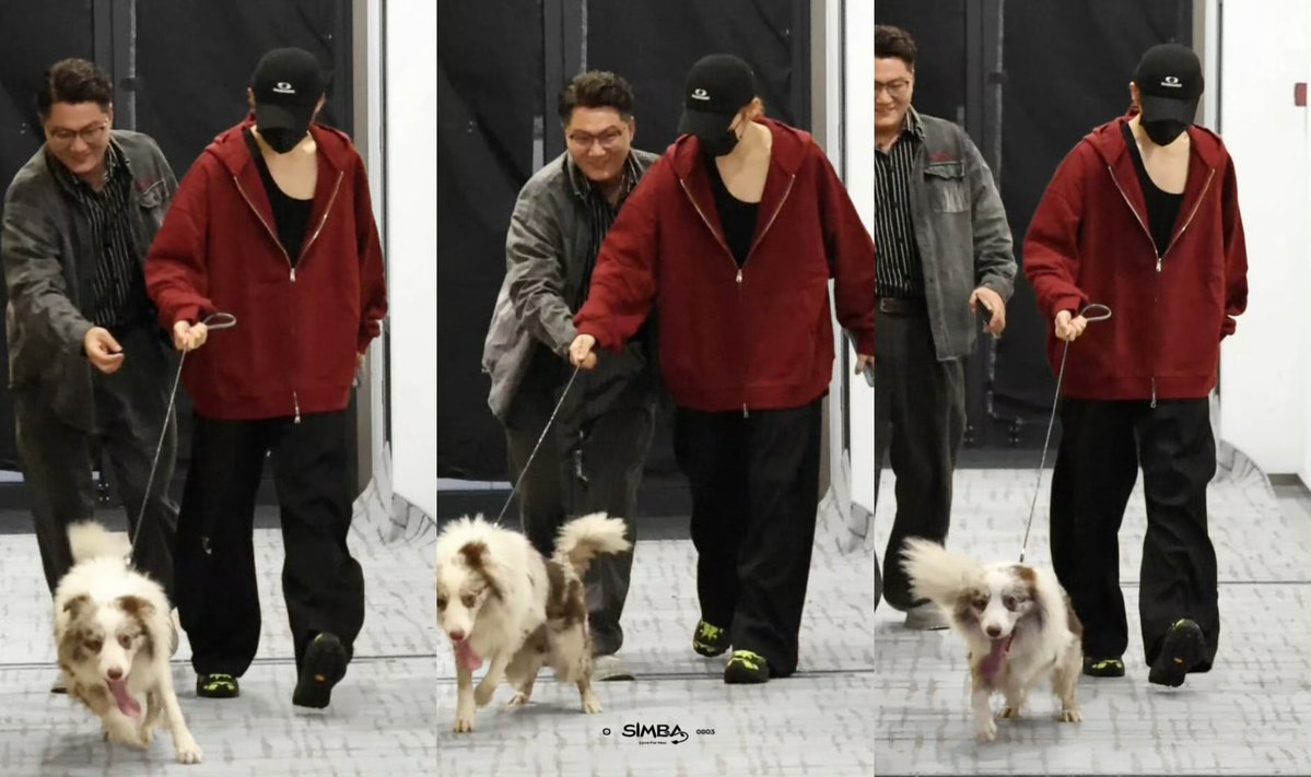 HMHUpdates's tweet photo. 10/09/2026 | Pictures of Kitten getting to Work at 5:49PM CST (GMT +8) | Day 78
Kitten helped bring the dog out and handed the leash to the security guard.
Credit 🎥📸: Kiwis🥝 (Simba0803_侯明昊) via Weibo
#HouMingHao #侯明昊 #SingerHouMingHao #AmazingActor #RongChenZi https://t.co/R3fXk708Hx