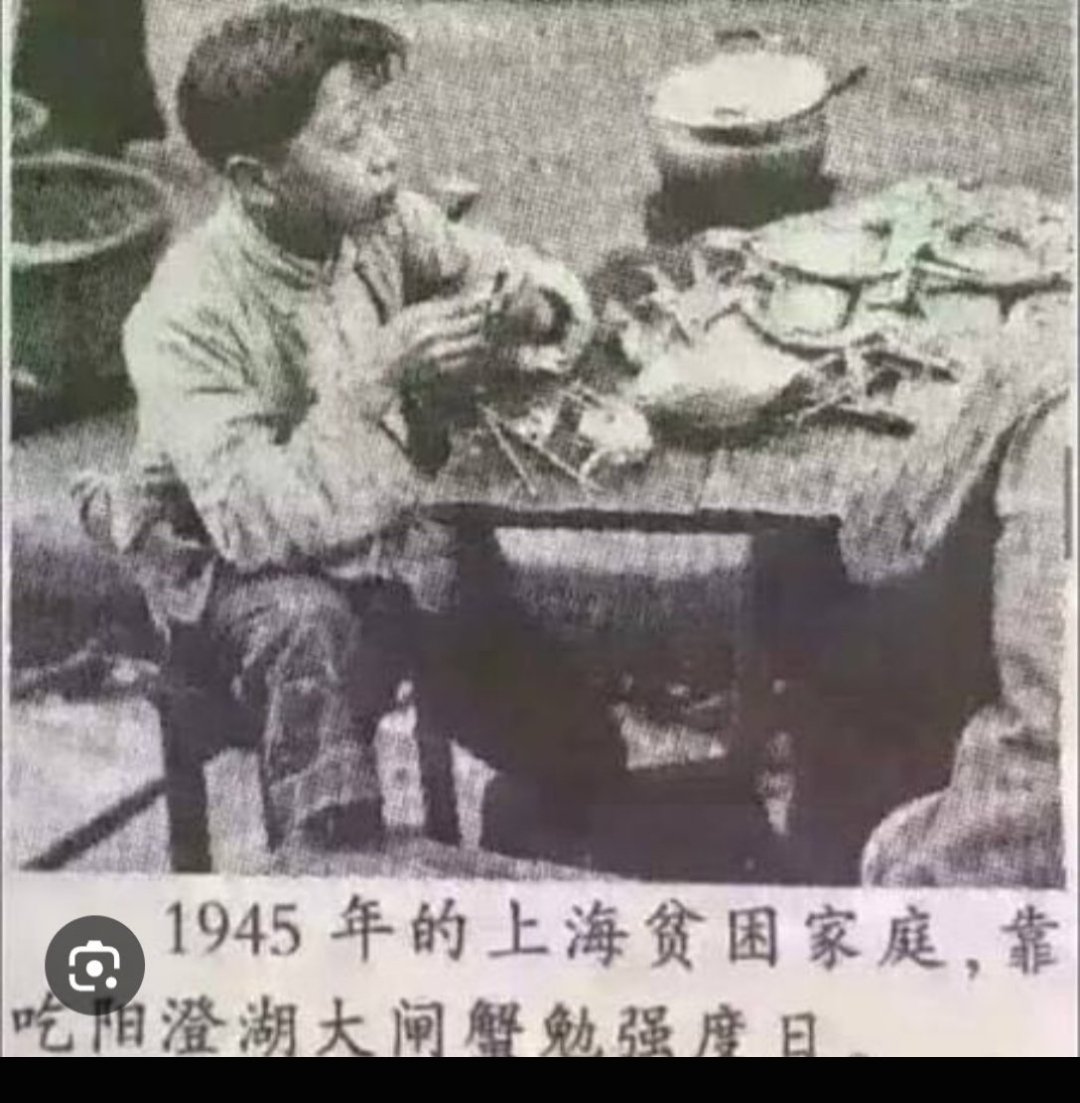 Freeman379337's tweet photo. 东北人自小都是吃牛羊肉鹿血喝虎骨酒，各种美食丰富多彩。男性高大健硕，女性高挑白皙，椭圆脸型高鼻大梁五官立体，公认帅哥美女满街走。毕竟不象你浙骗大户，自古装富贵的穷苦逼为啥吃尿蛋，臭脚菜，因穷的缺盐只能吃屎尿当佐料长大，没两块豆腐高的小矬巴子，总拿吃饱了的炭水脸炫耀，证明是自古穷逼 https://t.co/8rkG6ejyNf