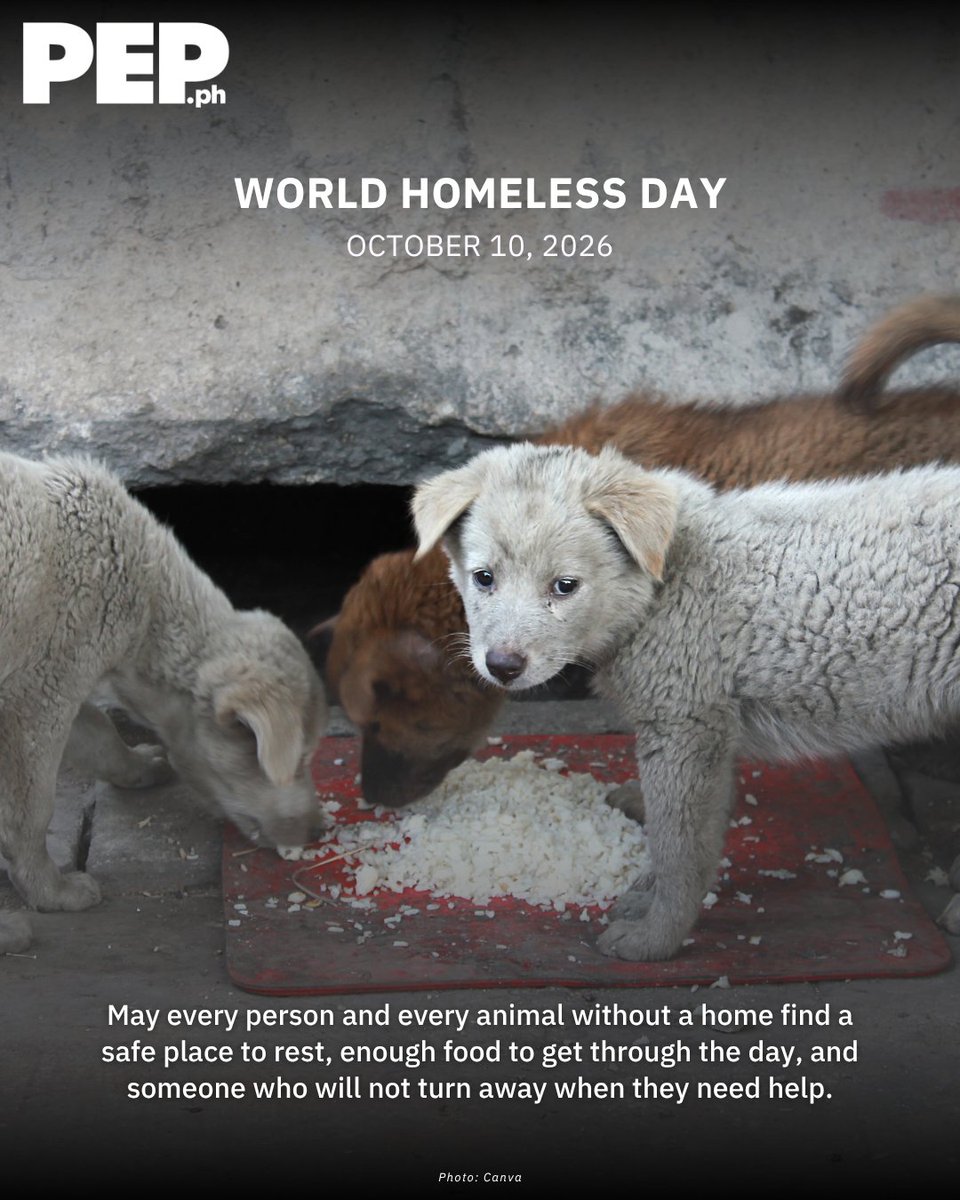 PEPalerts's tweet photo. MAY EVERY LIVING BEING FIND A PLACE TO CALL HOME. 🏠🤍

Because a home should not be a luxury. No one should have to sleep on concrete just to make it through the night, and no animal should have to wander the streets simply because there is nowhere else to go. https://t.co/D72pMJYaBs