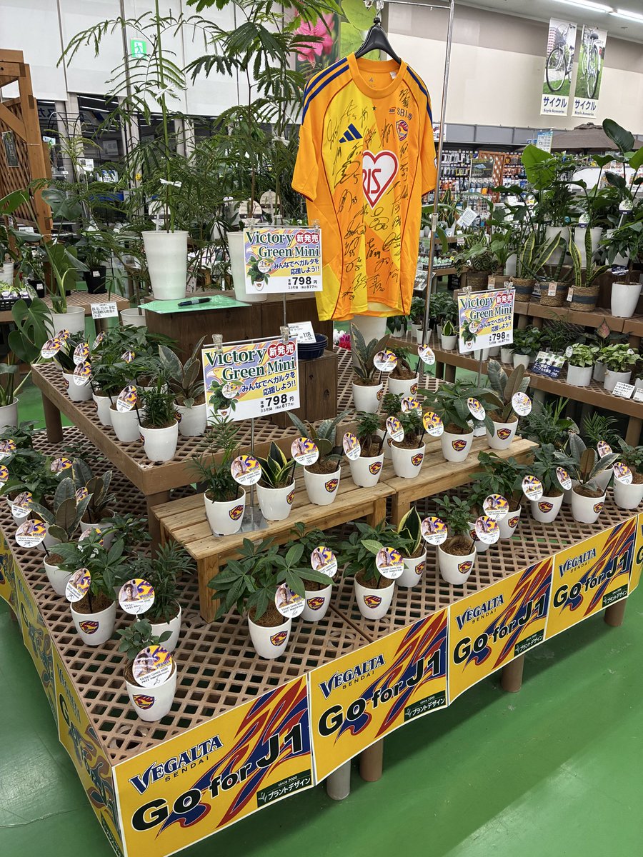 plantdesign2000's tweet photo. ベガサポの皆様、こんばんは♪
遅くなってすみません🙇‍♀️今5店舗陳列終了しました♪
あと2回寝たらダービーです♪
選手たちに念を送り続けましょう！
↓南吉成　→泉　→市名坂 https://t.co/991HrYJma5