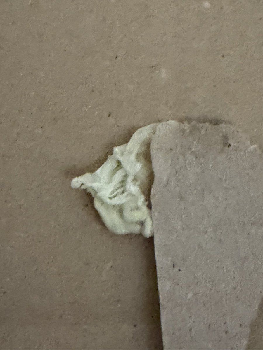 amici_da's tweet photo. Ma ne vogliamo parlare @AmazonIT dello schifo di trovare all'interno di un pacco una gomma da masticare lasciata da chi lavora per voi? https://t.co/VoR35rUxhs