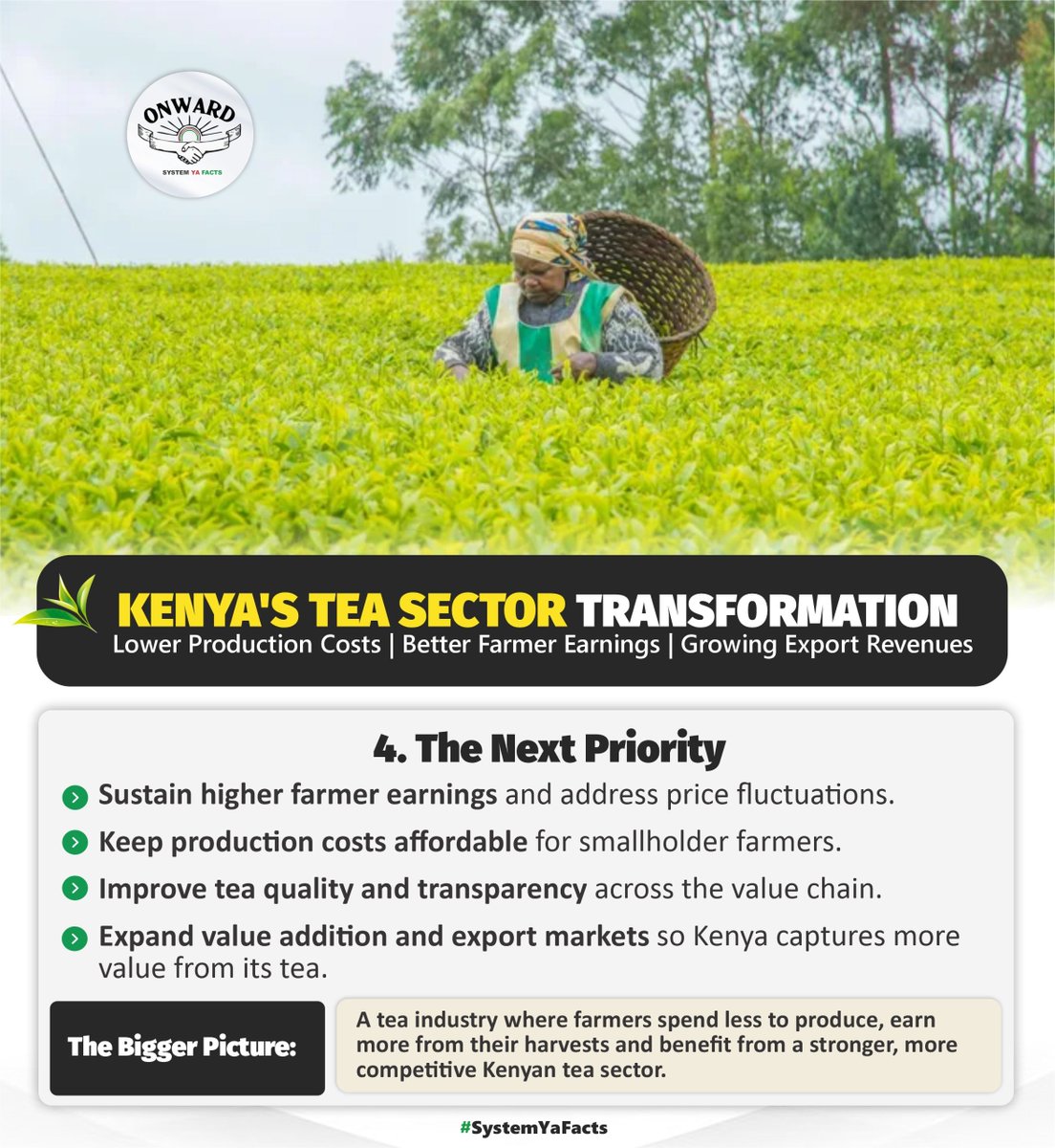 mwalakapkembu's tweet photo. An allocation of KSh 850 million to upgrade 17 tea factories aims to improve tea quality, reduce processing costs and increase efficiency across the industry.
#TeaSectorSuccesses
Agriculture Summit
Ruto Delivers https://t.co/N9u8gIzUOa