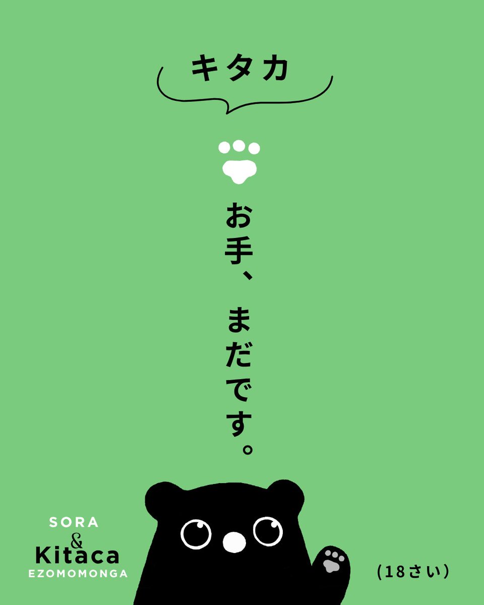 soraehon's tweet photo. お手は、練習中です🐾
明日10/10(土)から、Kitacaのエゾモモンガ
3連アクリルチャームキーホルダーを先行販売🐾
東京の鉄フェス(10/10・11)／札幌は10/14(水)12時〜
詳細↓
https://t.co/I5wksVaxkq
#Kitacaのエゾモモンガ #JR北海道 https://t.co/ngetbWWWF5