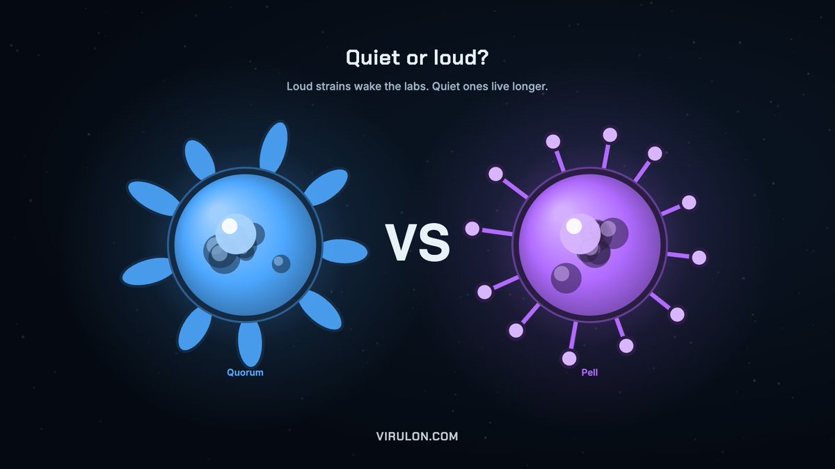 kustterr's tweet photo. Loud, lethal strains burn through their own hosts and wake the labs. Quiet ones live longer. 🤫

A country that notices closes its roads, ports and flights. But a closed route still leaks.

Quiet or loud: how do you play?

#Solana #crypto #degen #gaming #strategygame https://t.co/lGjd2Ktokl
