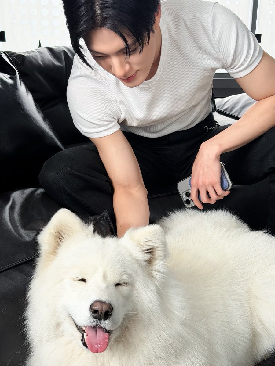 Jenoh's tweet photo. Got a fresh haircut and i think the mini me (samoyed) approves of the new look. https://t.co/X2eL6bLaDc
