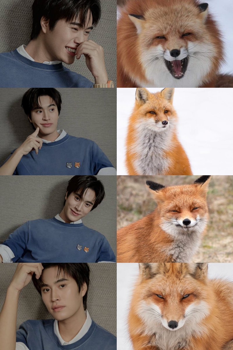 justonlyme1919's tweet photo. 🦊🧡🫶🏻✨️
#KitsunePeople #DoubleFoxHead
#WhatisyourDoubleFoxEnergy
#MaisonKitsune #MaisonKitsuneTH
#Gemini_NT #เจมีไนน์ https://t.co/SbO1ALDCRX