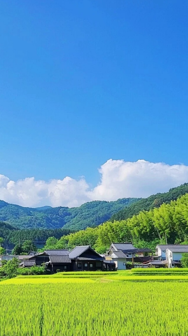 Karlamh6u's tweet photo. En el hermoso condado de Hanzhi, la tranquilidad rural se combina con paisajes impresionantes cada día! https://t.co/mQOomO4XKc
