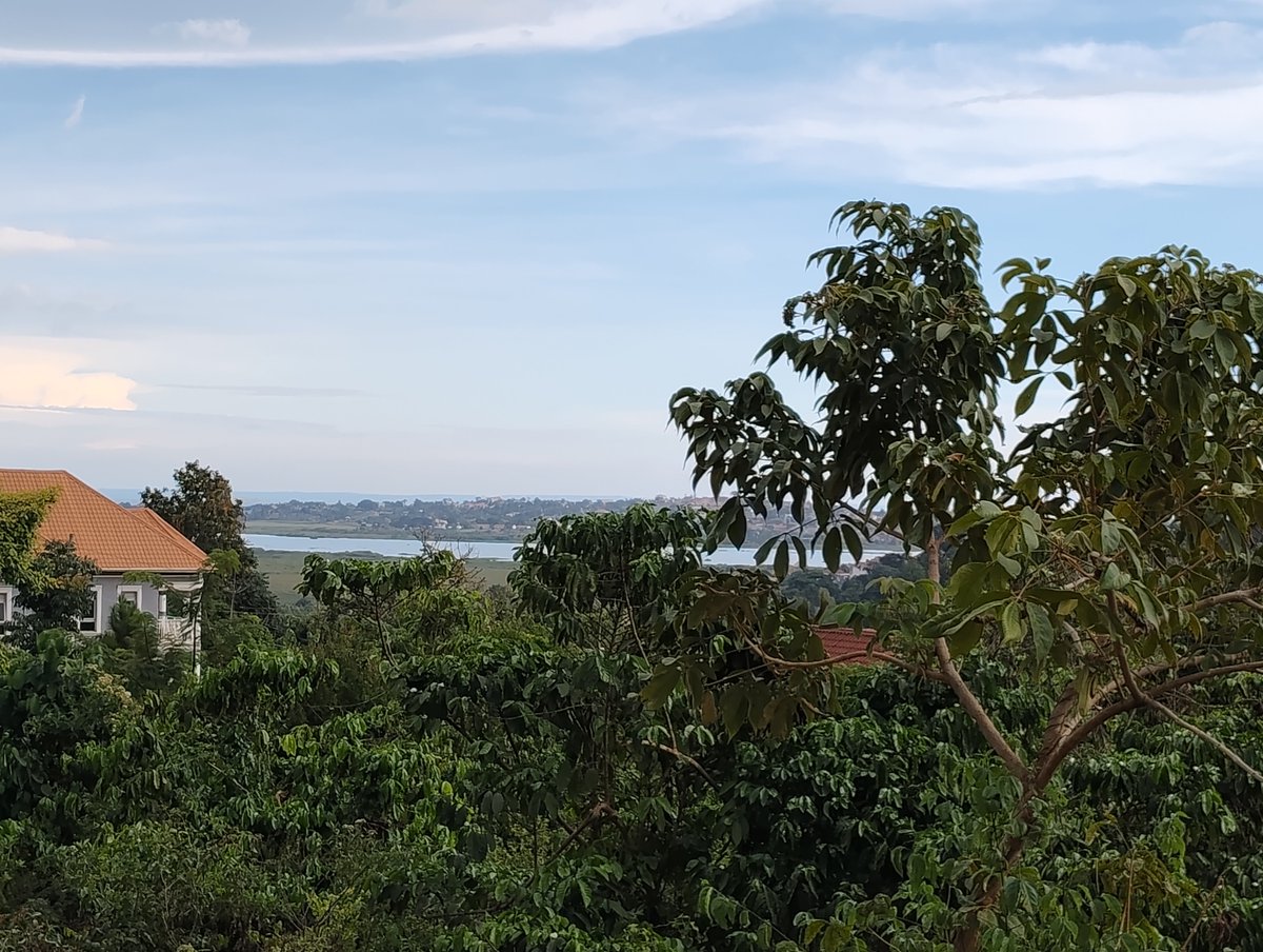 shukranproperty's tweet photo. LAKE VIEW LAND FOR SALE
NAMULANDA , BWEYA
ENTEBBE ROAD
AN ACRE /100 DECIMALS
PRIVATE MAILO LAND TITLES
SELLING AT #480M UGX
0706592177 https://t.co/Qx1PCh2s2O