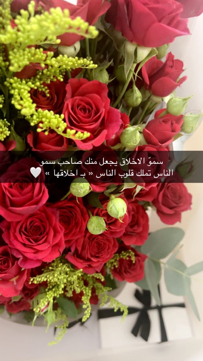 Thestart11111's tweet photo. غيرت صورتي
لانها لا تعكس شخصيتي بتويتر🤣
مابقي احد ما زنطته هني😆😆 https://t.co/T6qJnvmfxI