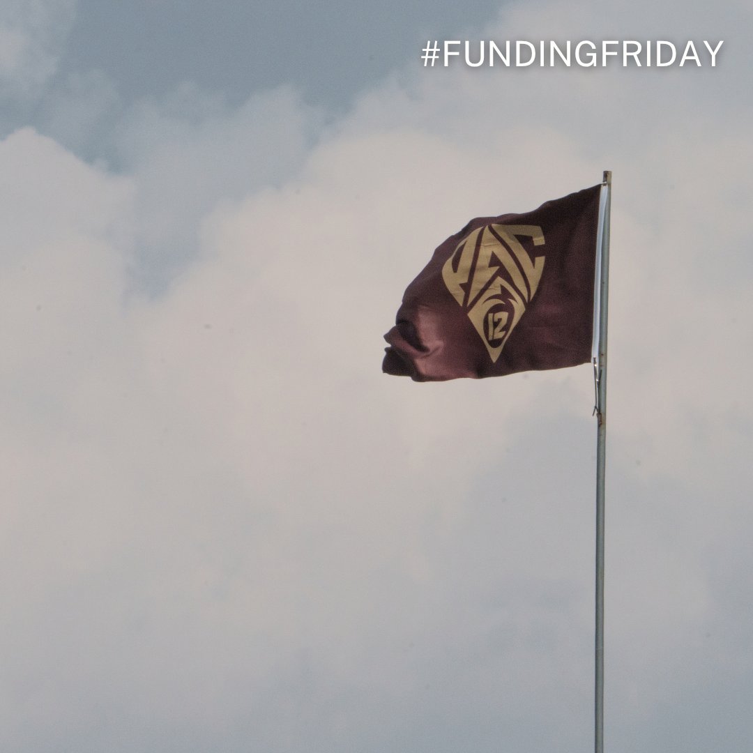 TXSTGradCollege's tweet photo. #FundingFriday: @CLSscholarship Critical Language Scholarship (CLS) Program offers fully funded summer overseas intensive language instruction in Arabic, Chinese, Hindi, Japanese, Korean, Persian, Portuguese, Russian, and Swahili 

 🔗: https://t.co/6XHcv8Ary5 https://t.co/HzzlcU9BST