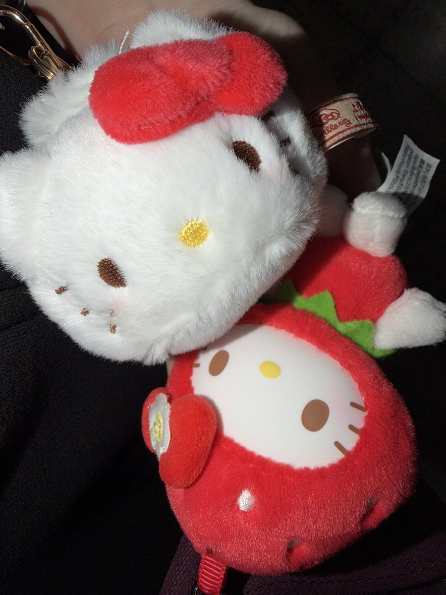 ssaraanghae's tweet photo. 키티♡나♡슈가바니즈 😽😽 https://t.co/EpIxZNzJjv