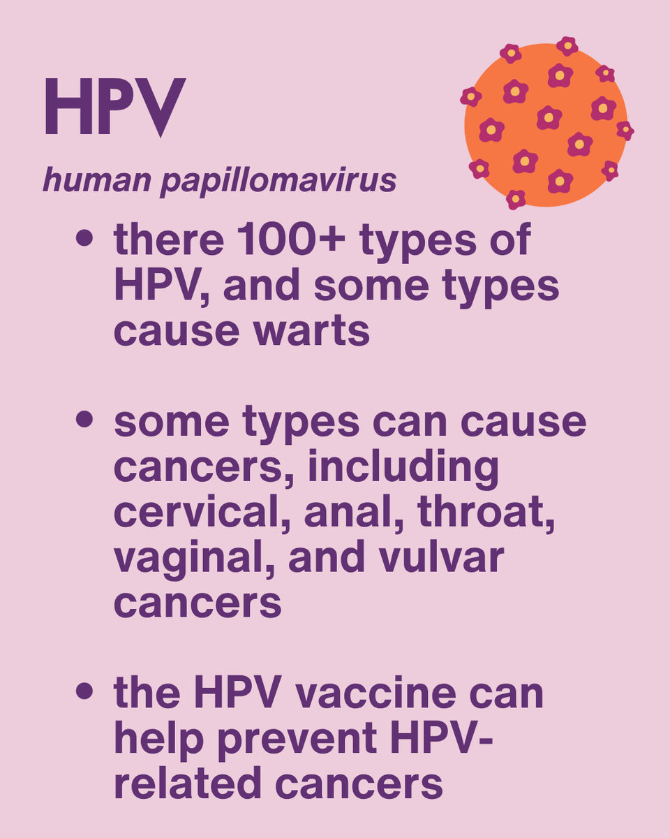 InfoASHA's tweet photo. viral STIs 🦠 : the main three are HPV, herpes, and HIV (people with these STIs can live long and healthy lives). Learn more: https://t.co/enbIBlYN9o #GetTested #STIprevention #STItest #TalkTestTreat #SaferSex #STItesting #STIawareness https://t.co/lAyN68X3da
