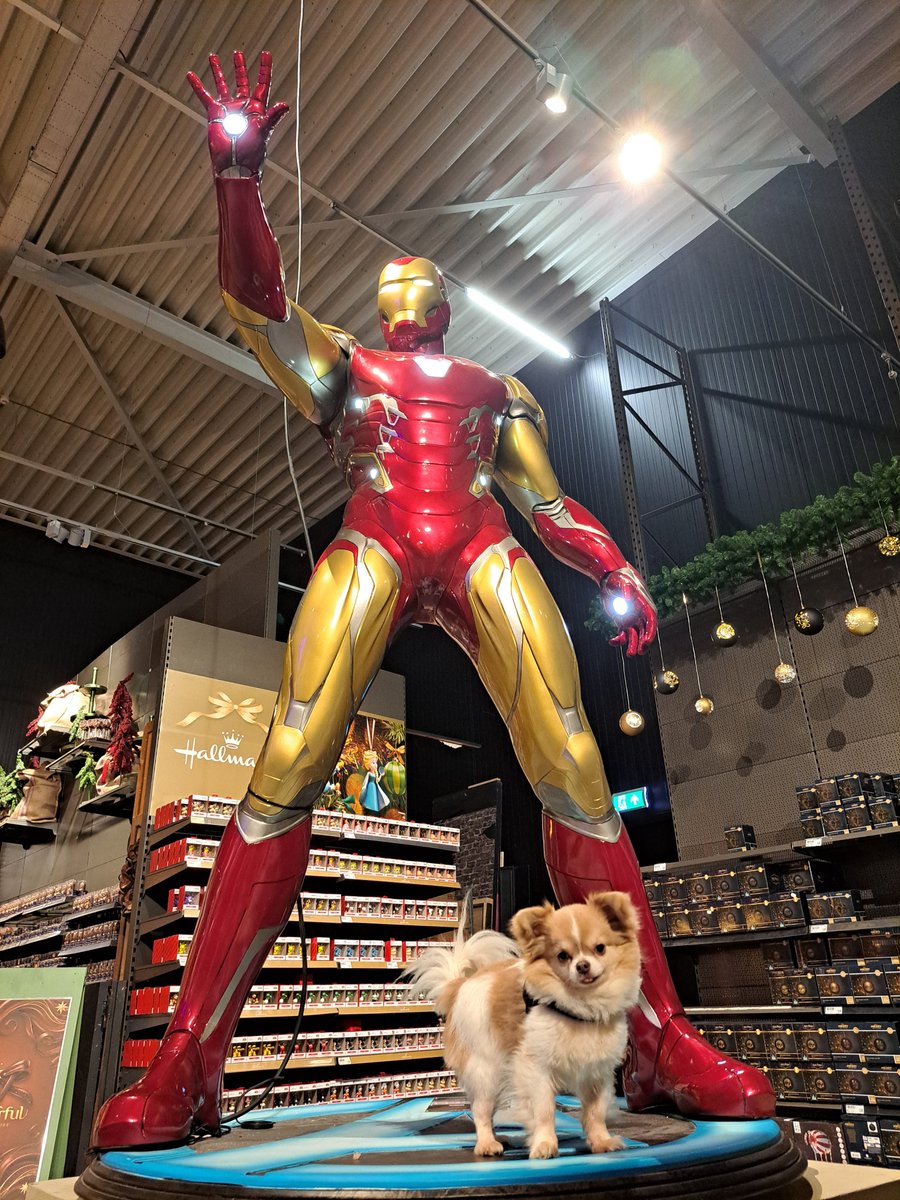 PolderPearls's tweet photo. Immediately besties 🧡 Every superhero needs a sidekick, but we all know Pretzel is the one running the show here. 🦾🐶

#Marvel #Supercuteness #DogsofX https://t.co/T01HkPbqyI
