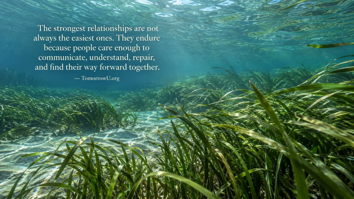 TomorrowU_org's tweet photo. Not every disagreement needs to end with the same conclusion.

Sometimes progress is simply understanding why another person sees something differently and knowing they understand us too.

✨ https://t.co/emeWZY3hWJ

via @TomorrowU_org

#Understanding #Respect #Relationships https://t.co/UaWf7ZefUs