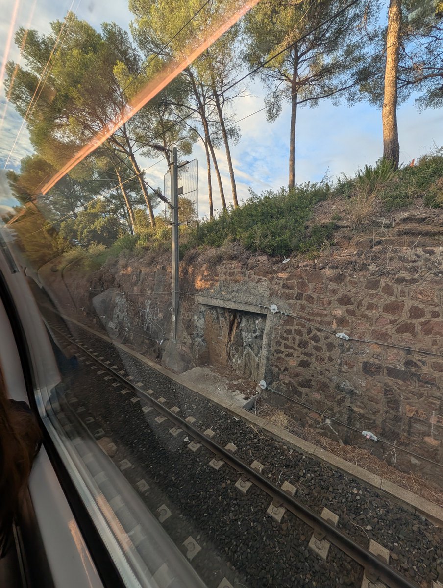 AlexBoeroOff's tweet photo. Situation scandaleuse sur la ligne Nice > Marseille. Bloqués en pleine voie et sans climatisation depuis plus de 3 heures et nous n'avons fait qu'un tiers du trajet... Et une communication assez honteuse 🚄😩

cc @SNCFVoyageurs @transdevFR @maregionsud #SNCF #transdev #train https://t.co/uSxtPMBY1d