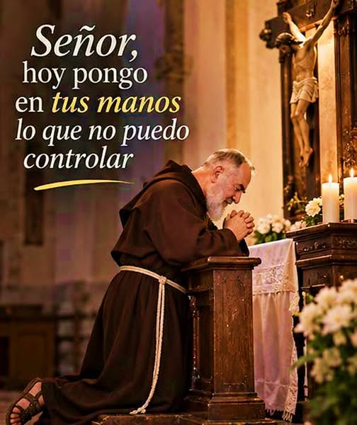 SeguidoresOFS's tweet photo. https://t.co/6b8LwOFZrL
