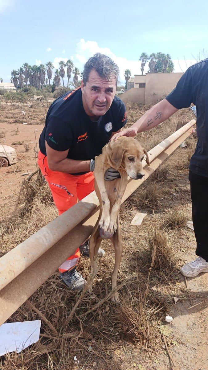Anpasnazionale's tweet photo. Siamo a #Marsala con quattro ambulanze, un’auto medica e un pulmino, attivata dalla Centrale operativa 118 dopo il maltempo che ha colpito il Trapanese.

Soccorritori e soccorritrici stanno prestando assistenza nella scuola danneggiata

#Anpas https://t.co/Rb47aVidQS
