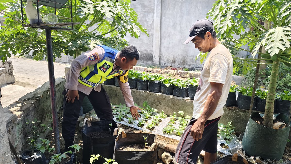 unitbinmaswrj's tweet photo. Bhabinkamtibmas Desa Malangsari, Kec. Tanjunganom memantau pemanfaatan lahan Pekarangan Pangan Bergizi (P2B) milik warga binaannya guna mendukung Ketahanan Pangan Nasional.

#ketahananpangan
#swasembadapangan
#polrikawalketahananpangan
#polrikawalswasembadapangan
#astacita https://t.co/INcWey8EnK